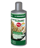 DENNERLE - Scapers Green