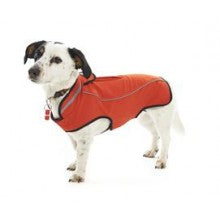 BUSTER SOFTSHELL RED CHILI, S