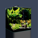 DENNERLE - Nano Cube Basic, 60 L