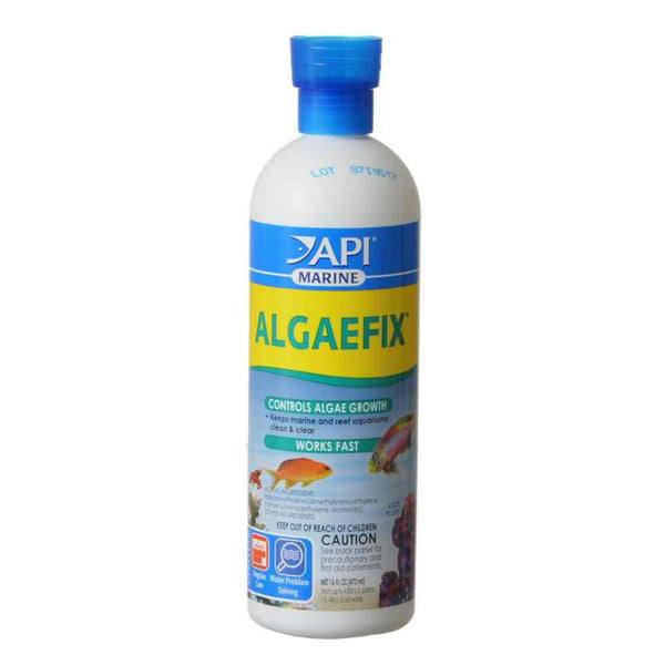 API - Algaefix Marine 16Oz