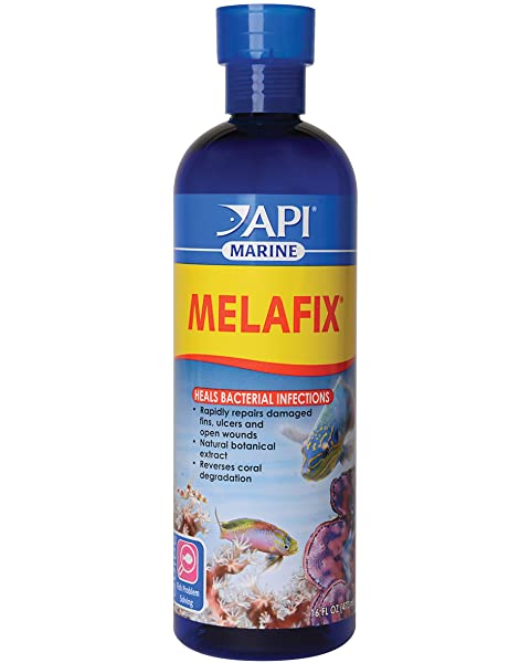 API - Melafix Marine 16Oz