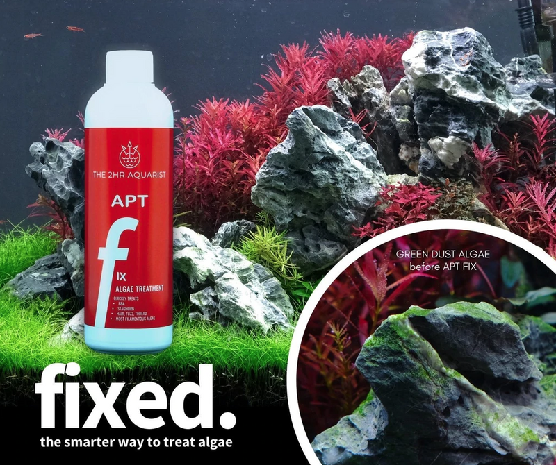 2HR AQUARIST - Apt Fix