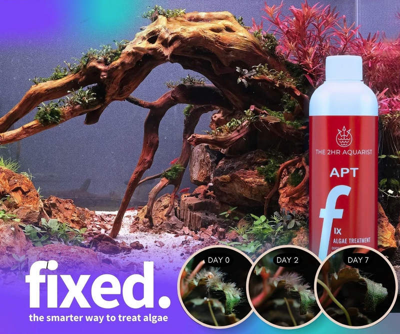 2HR AQUARIST - Apt Fix