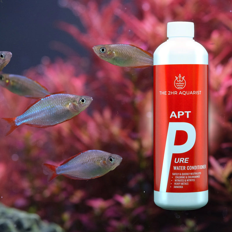 2HR AQUARIST - Apt Pure