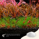 2HR AQUARIST - Apt Sky