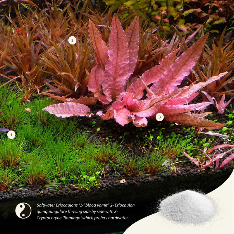 2HR AQUARIST - Apt Sky