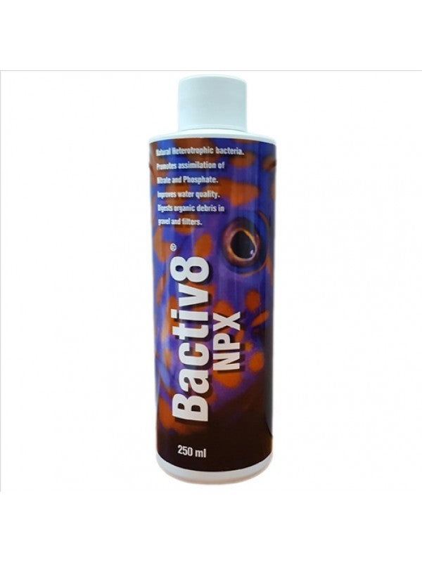 TWO LITTLE FISHES - Bactiv 8 250Ml
