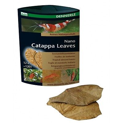 DENNERLE -  Catappa Leaves Nano 120 L