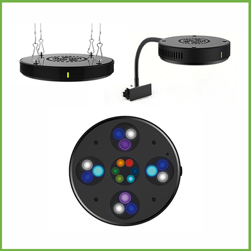 CORAL BOX -  Moon Led Plus V3