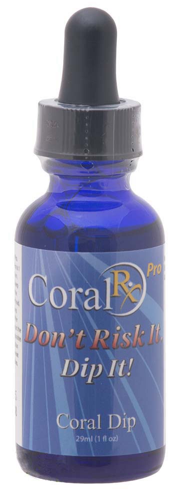 CORAL RX -  Dip It  1Oz