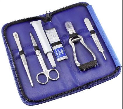 BRS CORAL PROPAGATION KIT