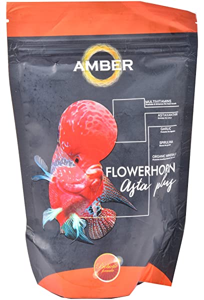 Flower Horn Asta Plug