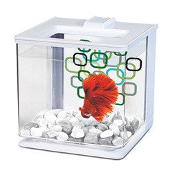 FLUVAL - MARINA BETTA KIT 2.5L - WHITE