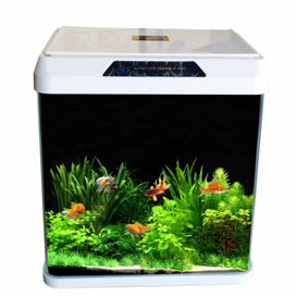 Oblong Glass Aquarium R 320