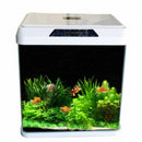 Oblong Glass Aquarium R 600