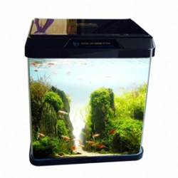 Oblong Glass Aquarium R 180