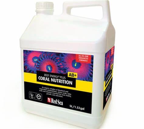 REEF ENERGY PLUS (AB+) - 5L