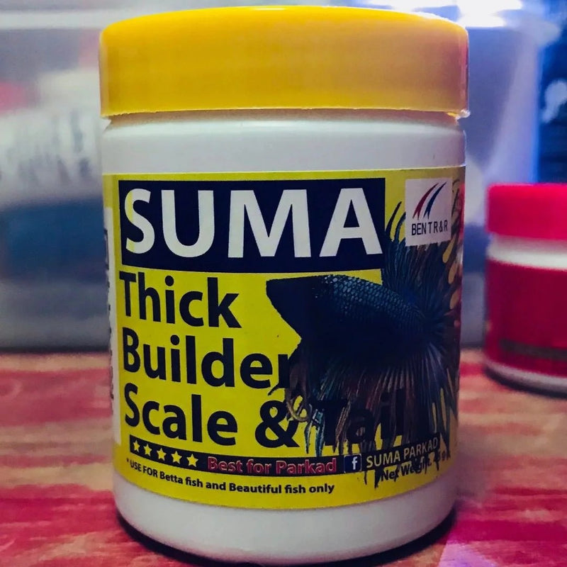 Thick Builder Scale  & Tail - 100 G
