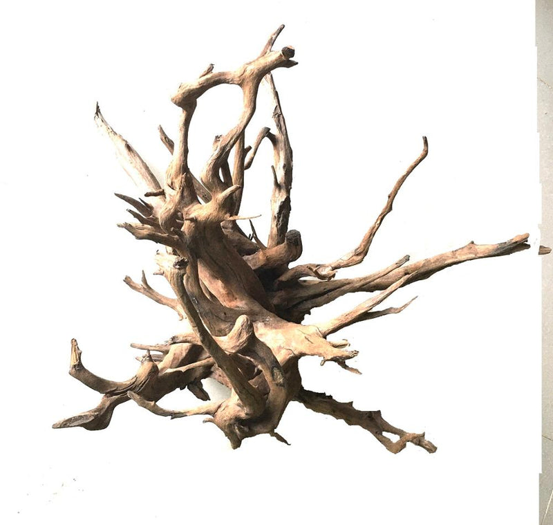 Wood