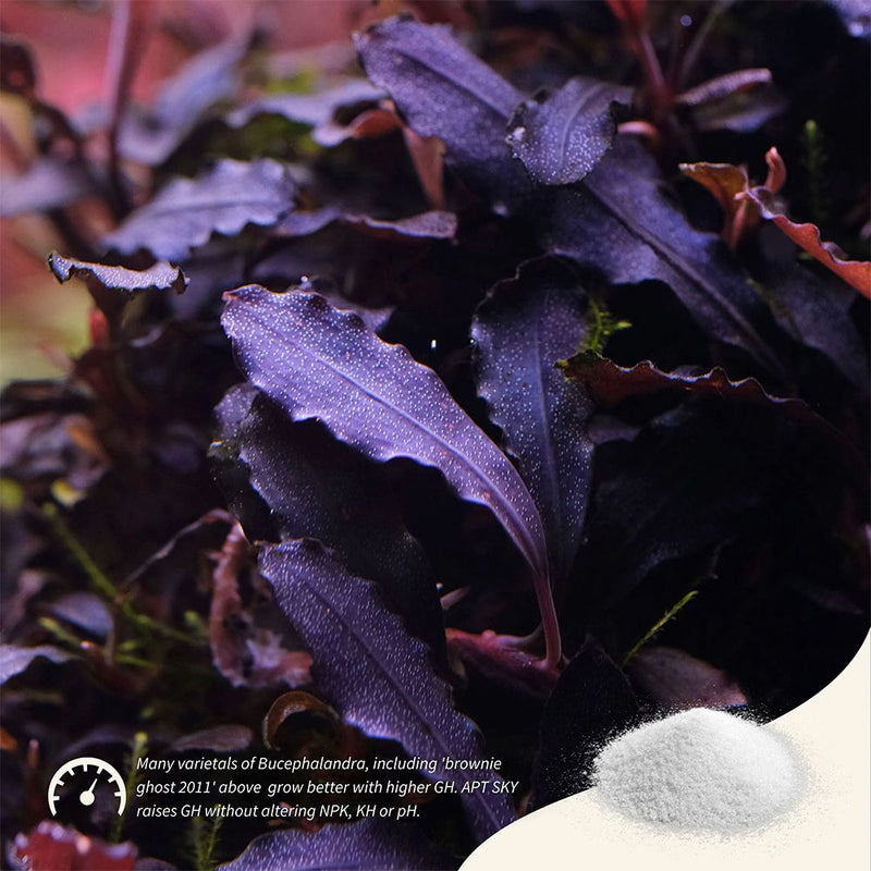 2HR AQUARIST - Apt Sky