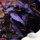 2HR AQUARIST - Apt Sky