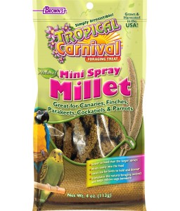 FM Brown's Tropical Carnival® Natural Mini Spray Millet