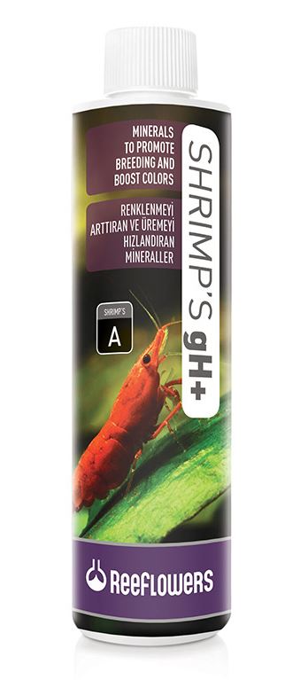 Shrimps gH +
