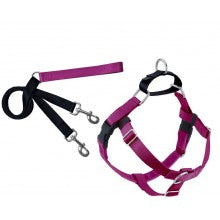 FREEDOM NO-PULL HARNESS AND LEASH - RASPBERRY