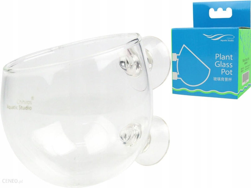 CHIHIROS - Plant Glass Pot