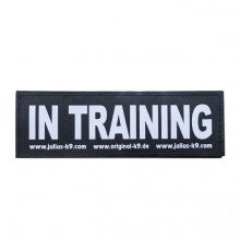 IN TRAINING PATCH