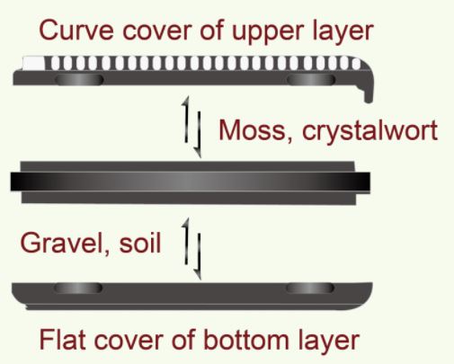 Water Plants Cultivation I-866