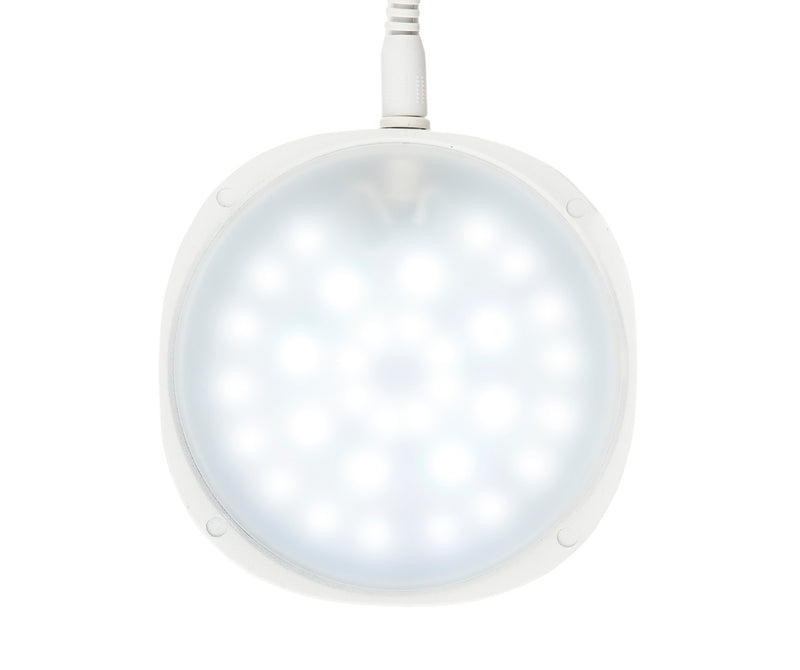 CHIHIROS - TERRARIUM KIT