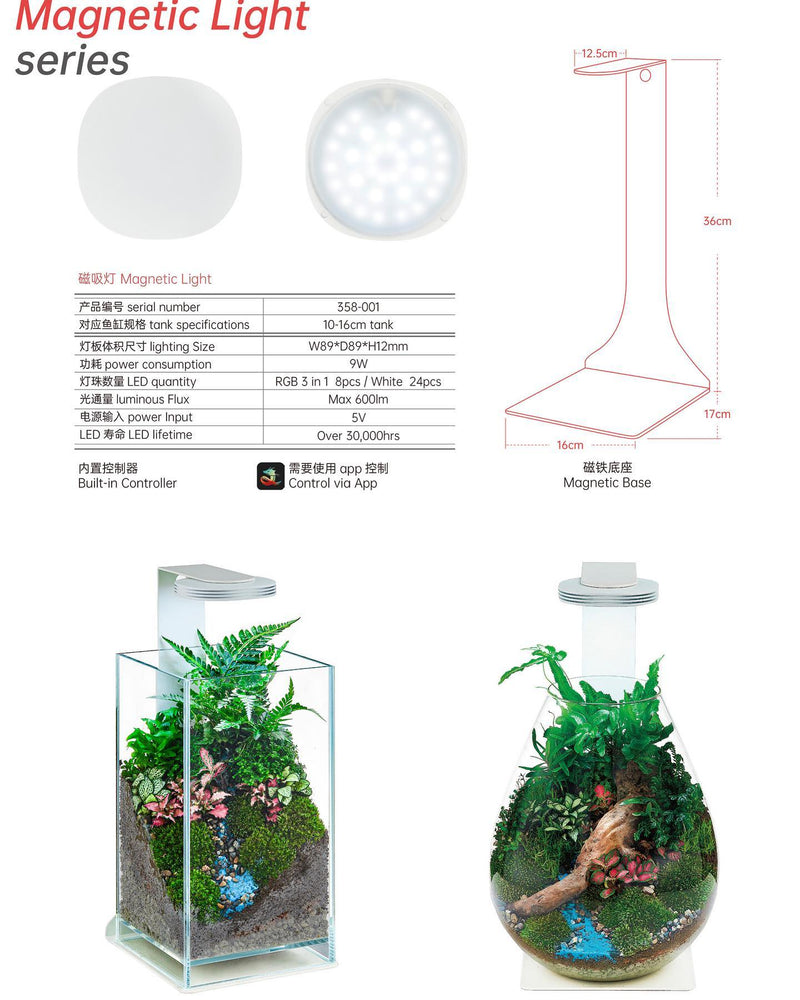 CHIHIROS - TERRARIUM KIT