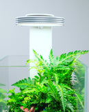 CHIHIROS - TERRARIUM KIT