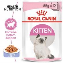 FELINE HEALTH NUTRITION INSTINCTIVE ADULT CATS JELLY (WET FOOD - POUCHES)