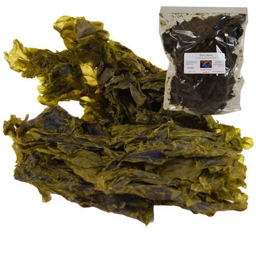 FRESH N' MARINE - BSD Sea Lettuce 20gm