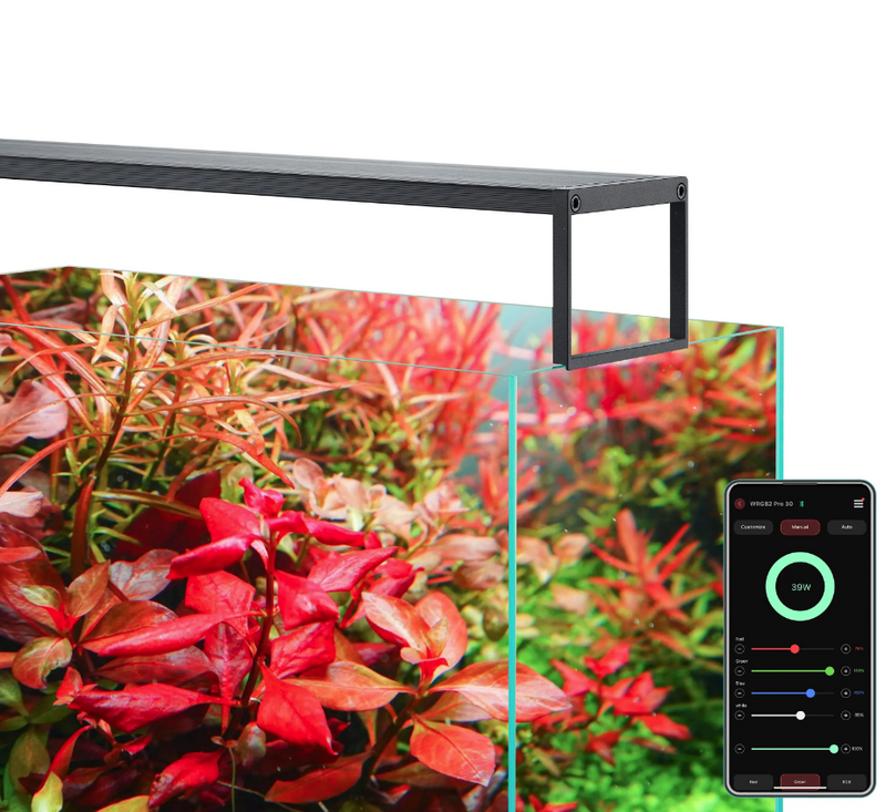 CHIHIROS - Wrgb II Slim Series