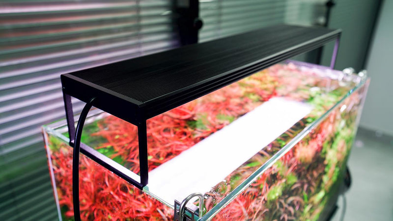 CHIHIROS - WRGB2 PRO SERIES