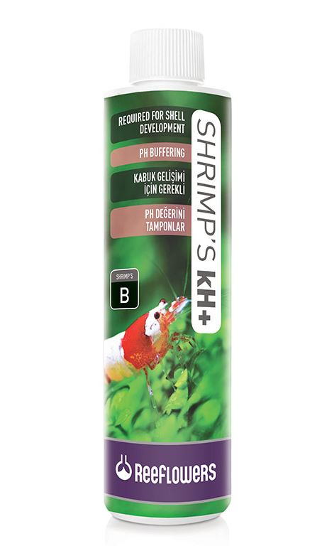 Shrimps kH +